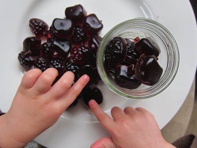 Elderberry Gummies: Immune Support for Kids during Cold and Flu Season